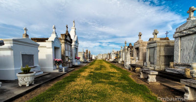 St Louis Cemetery #3 62085