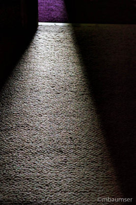 Sunlight On The Carpet