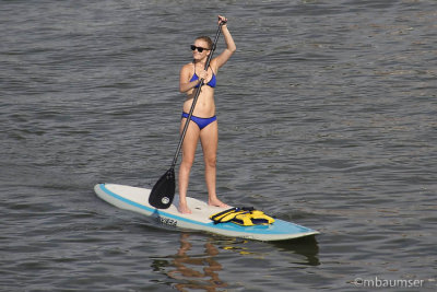 Paddleboarder