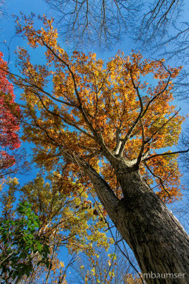 Cheesequake State Park, NJ