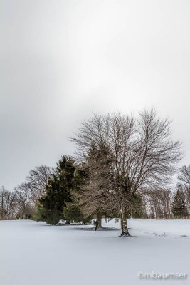 Oak Ridge Park, NJ In The Snow 85796