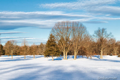 Oak Ridge Park, NJ In The Snow 85830