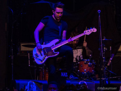 Mallory Knox 1030238
