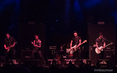 Mallory Knox 1030271