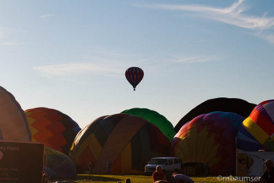 2015 Balloon Festival 95287