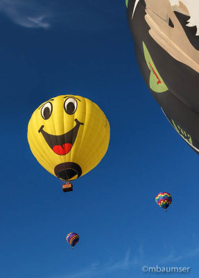 2015 Balloon Festival 95471