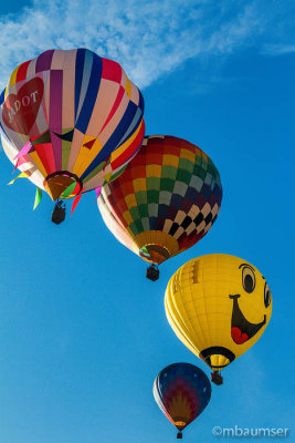 2015 Balloon Festival 95502