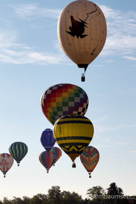 2015 Balloon Festival 95562.jpg