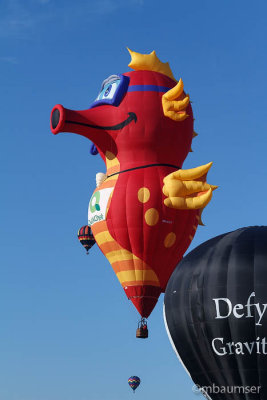 2015 Balloon Festival 95600