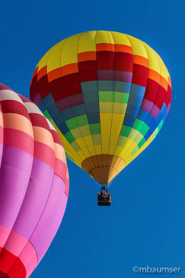 2015 Balloon Festival 95705