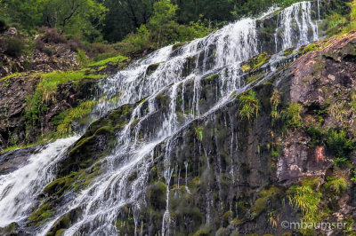 Powerscourt Waterfall 98007