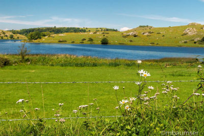 Lough Gur 98438.jpg