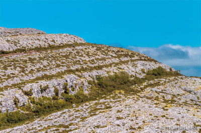 The Burren  (Karst Dome) 98522