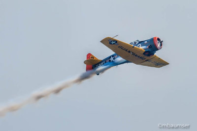 Atlantic City Air Show 99194