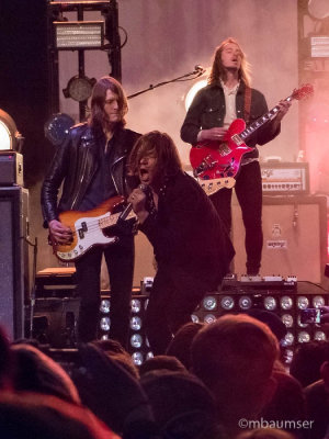 Cage The Elephant 1150317