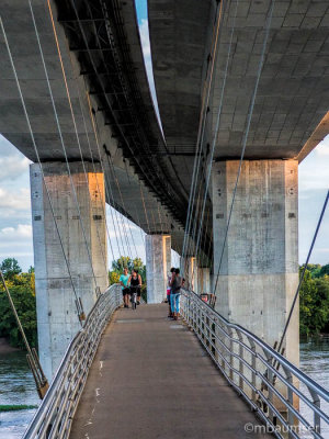 Belle Isle Pedestrian Bridge 1160461