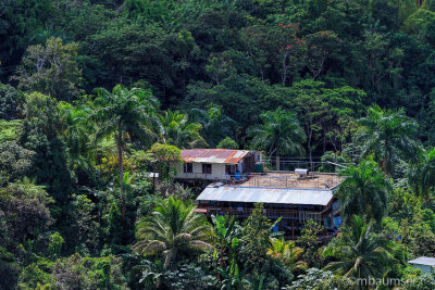 Parque Forestal La Marquesa 117994