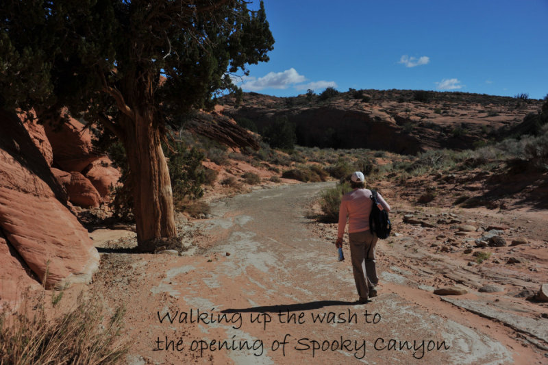 Hike through Spooky Slot Canyon