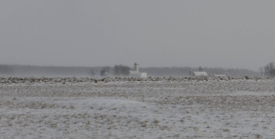 -14 degrees and 25mph winds makes for a cold day!!