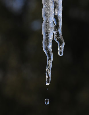 It's Melting!!!