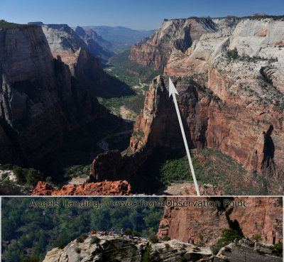 The view of Zion Canyon from Observation Point (2100' elevation gain on the hike)