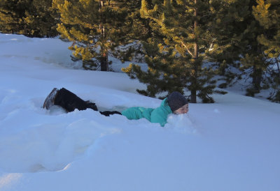 Diving into the snow