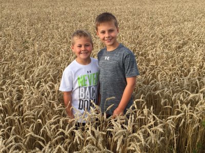 Paeltz boys in a wheat field