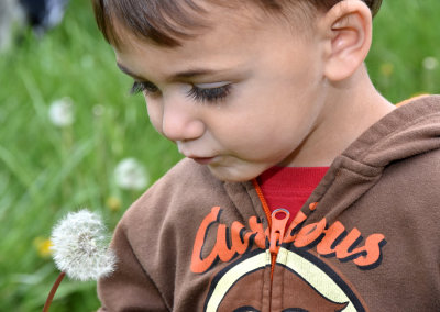 AJ about to blow the dandelion seeds