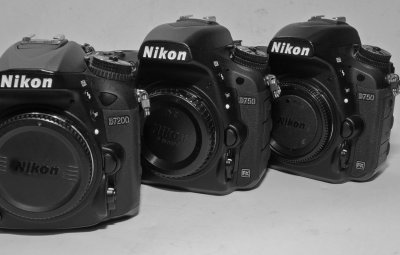 Current Nikon Line-up