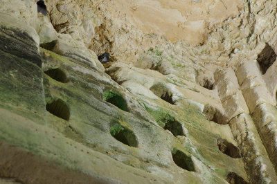 Columbarium cave with pidgeons