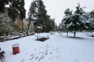 2013 Winter in Jerusalem