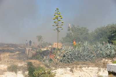 Man spraying water on dry shrubs and grass to prevent fire from reaching his house