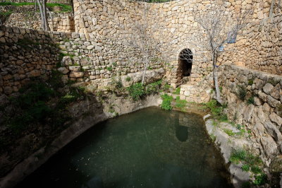 Ein Bikura spring and pool