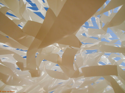P8290922-1.jpg