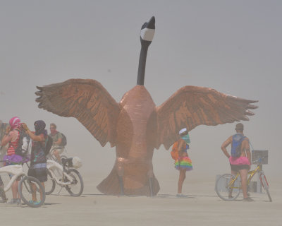 Day Pics - Burning Man 2015
