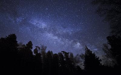 Milky Way High in the Black Forest