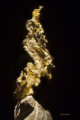 _MG_7481 Mineral_Gold.jpg