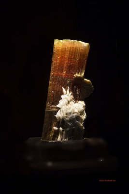 _MG_7563 Mineral.jpg