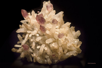 _MG_8066 Quartz v Amethyst WA.jpg