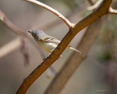 _MG_1565-Edit.jpg