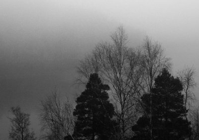 fog lake