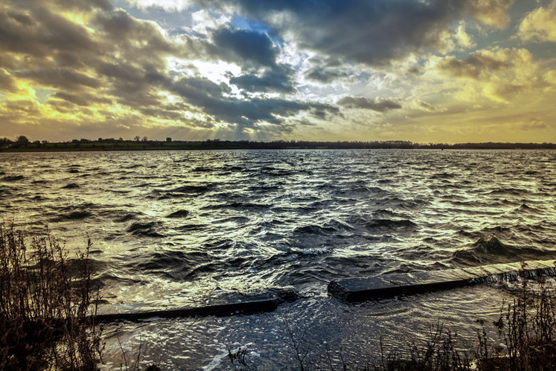 Hornsea Mere IMG_8995.jpg