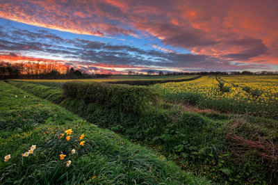 Eppleworth fields sunset IMG_4431.jpg