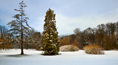 Thwaite Hall snow IMG_9012.jpg