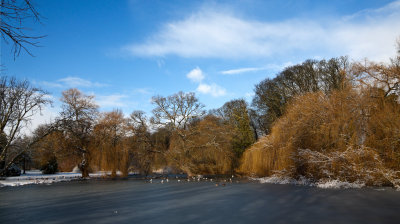 Winter Pond IMG_8990.jpg