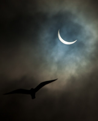 solar partial eclipse 2015 IMG_9731.jpg