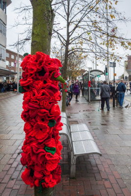 Rememberance Sunday Hull 8-11-15 IMG_8239.jpg