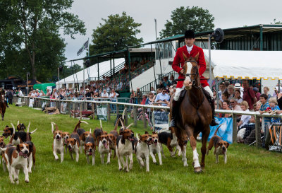 Driffield Show 2016 IMG_2964.jpg