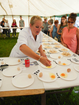 Driffield Show 2016 P1040466.jpg