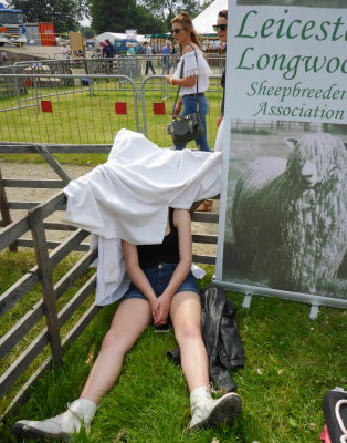 Driffield Show 2016 P1040511.jpg